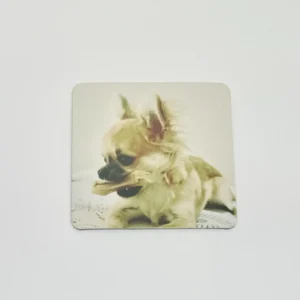 Magnet Photo Personnalisable